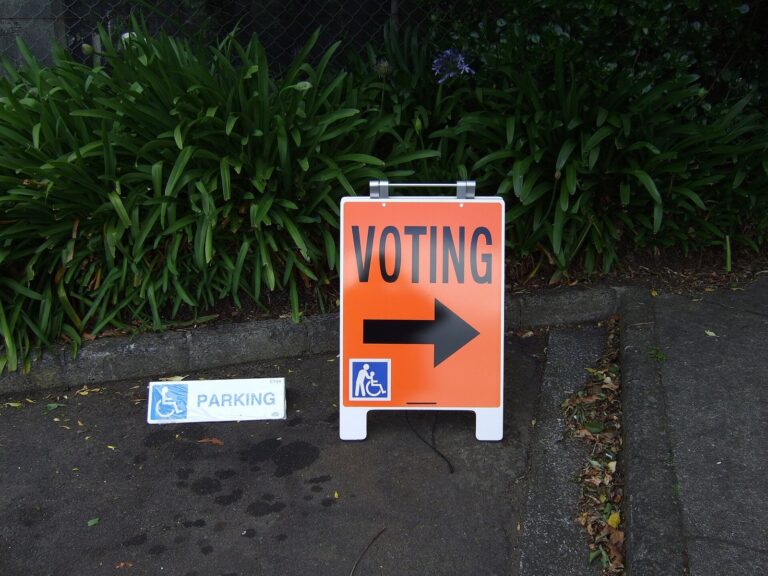 No Kings Marchers Push Early Voting in Washington Rallies